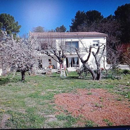La Maison De Papou La Vigne A Nans Les Pins 83860 מראה חיצוני תמונה