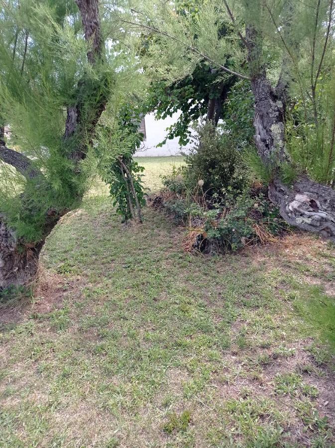 La Maison De Papou La Vigne A Nans Les Pins 83860 מראה חיצוני תמונה