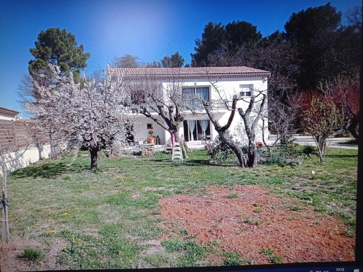 La Maison De Papou La Vigne A Nans Les Pins 83860 מראה חיצוני תמונה