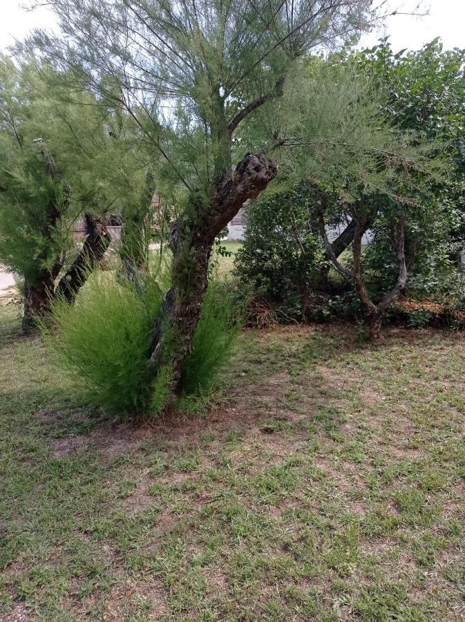 La Maison De Papou La Vigne A Nans Les Pins 83860 מראה חיצוני תמונה